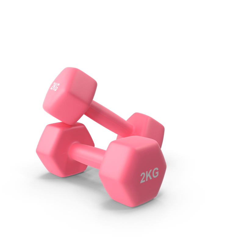 Work With Me fitnessdumbbells2kg.h03.2k